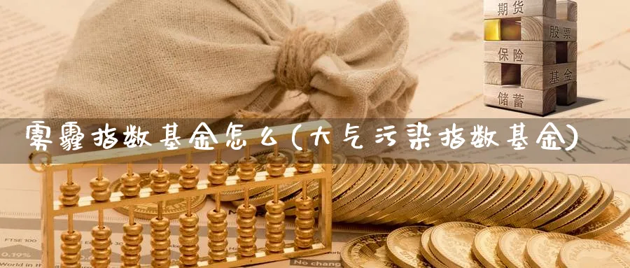 雾霾指数基金怎么(大气污染指数基金)_https://www.yunsqy.com_期货整理_第1张