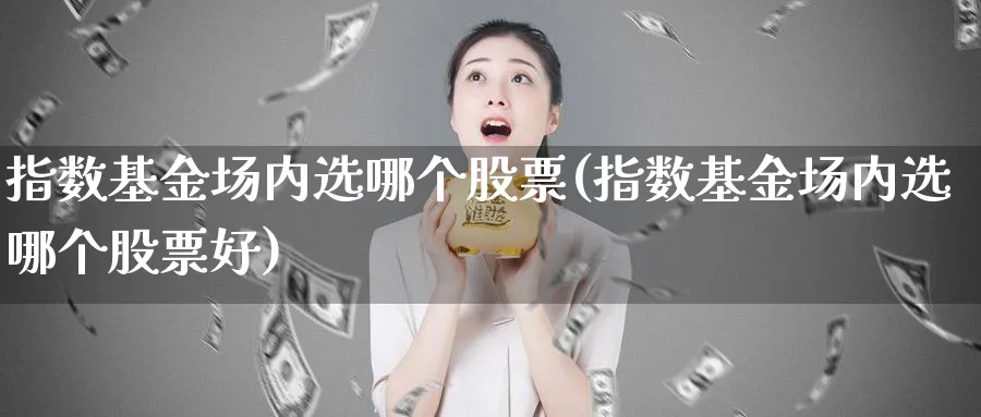 指数基金场内选哪个股票(指数基金场内选哪个股票好)_https://www.yunsqy.com_期货分类_第1张