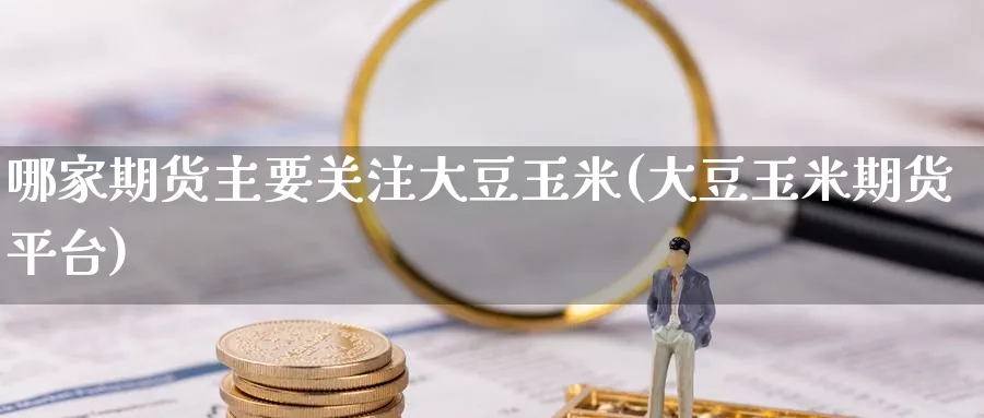 哪家期货主要关注大豆玉米(大豆玉米期货平台)_https://www.yunsqy.com_期货技术_第1张