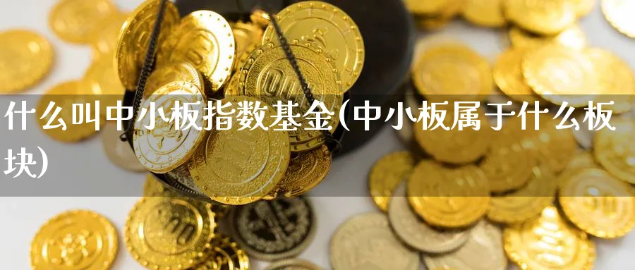什么叫中小板指数基金(中小板属于什么板块)_黄金期货_第1张_云上财经直播室 什么叫中小板指数基金(中小板属于什么板块)_https://www.yunsqy.com_黄金期货_第1张
