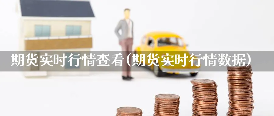 期货实时行情查看(期货实时行情数据)_https://www.yunsqy.com_期货技术_第1张