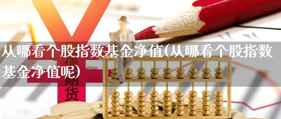 从哪看个股指数基金净值(从哪看个股指数基金净值呢)_https://www.yunsqy.com_期货分类_第1张