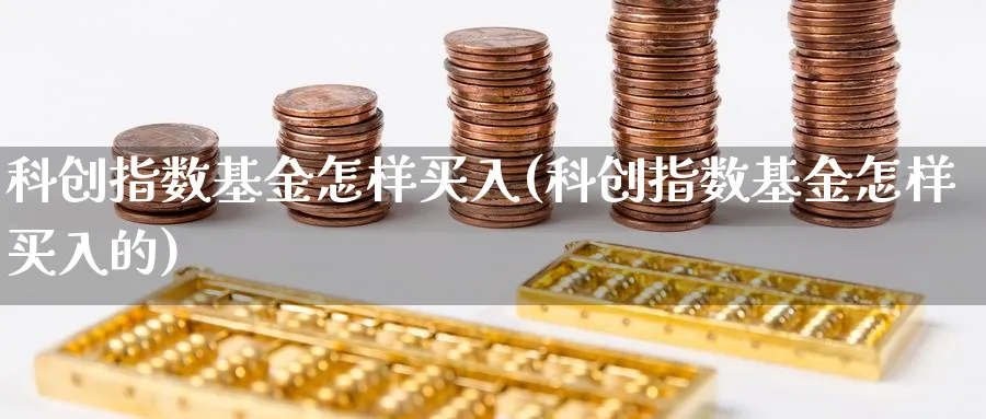 科创指数基金怎样买入(科创指数基金怎样买入的)_https://www.yunsqy.com_理财百科_第1张