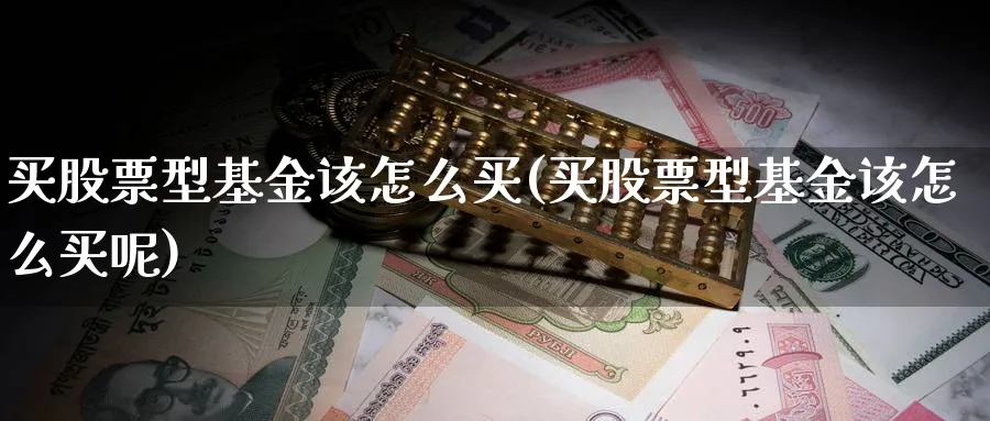 买股票型基金该怎么买(买股票型基金该怎么买呢)_https://www.yunsqy.com_期货入门_第1张