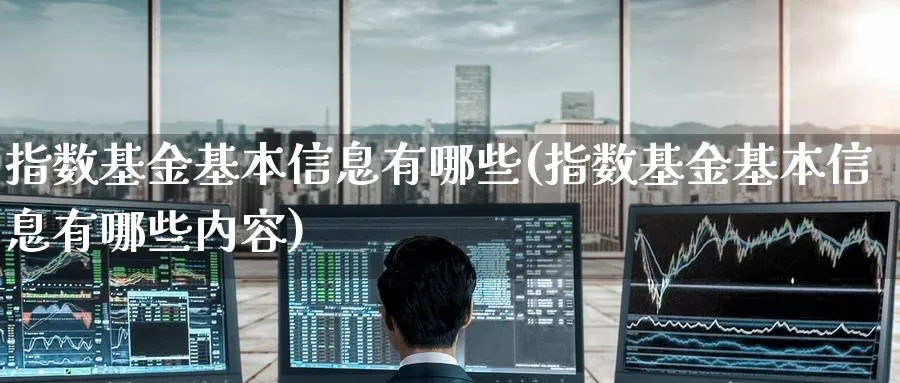 指数基金基本信息有哪些(指数基金基本信息有哪些内容)_https://www.yunsqy.com_理财百科_第1张