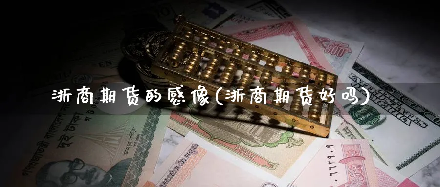 浙商期货的感像(浙商期货好吗)_https://www.yunsqy.com_期货技术_第1张