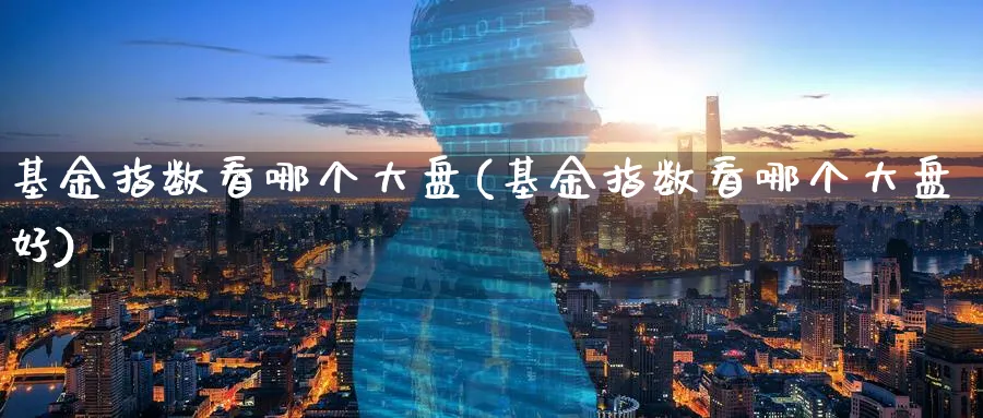 基金指数看哪个大盘(基金指数看哪个大盘好)_期货直播_第1张_云上财经直播室 基金指数看哪个大盘(基金指数看哪个大盘好)_https://www.yunsqy.com_期货直播_第1张