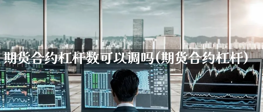 期货合约杠杆数可以调吗(期货合约杠杆)_https://www.yunsqy.com_纳指期货_第1张