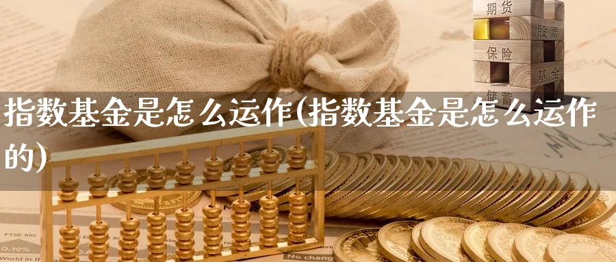 指数基金是怎么运作(指数基金是怎么运作的)_期货技术_第1张_云上财经直播室 指数基金是怎么运作(指数基金是怎么运作的)_https://www.yunsqy.com_期货技术_第1张