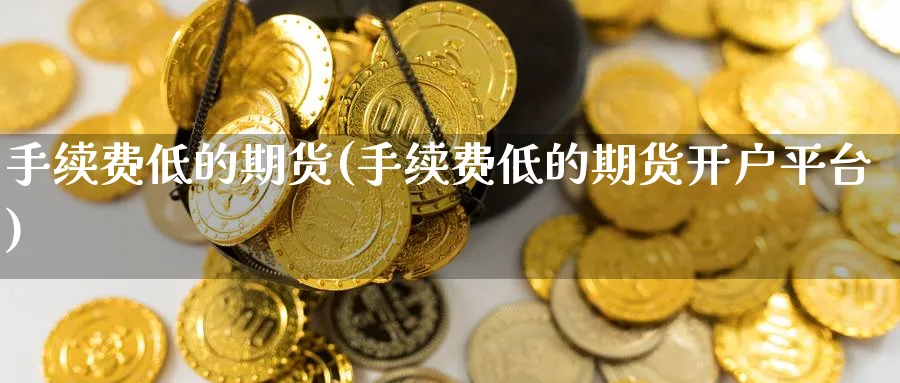 手续费低的期货(手续费低的期货开户平台)_https://www.yunsqy.com_期货技术_第1张