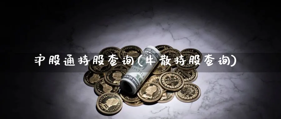 沪股通持股查询(牛散持股查询)_https://www.yunsqy.com_黄金期货_第1张