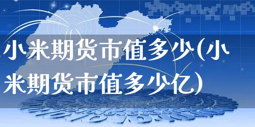 小米期货市值多少(小米期货市值多少亿)_https://www.yunsqy.com_期货理财_第1张