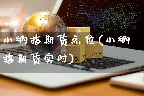 小纳指期货点位(小纳指期货实时)_https://www.yunsqy.com_期货技术_第1张