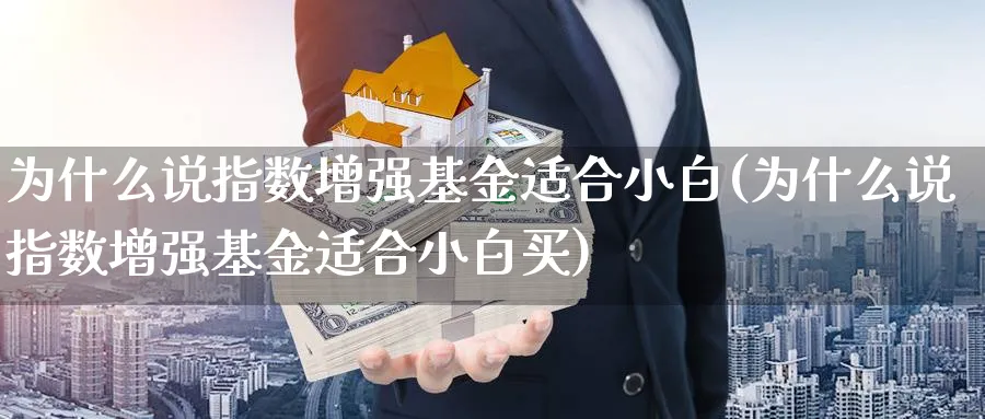 为什么说指数增强基金适合小白(为什么说指数增强基金适合小白买)_https://www.yunsqy.com_理财百科_第1张