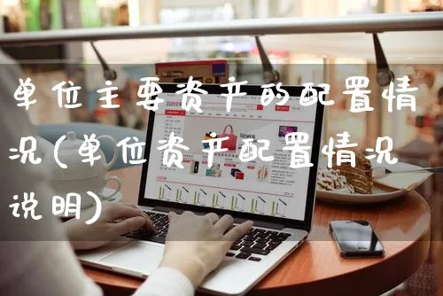单位主要资产的配置情况(单位资产配置情况说明)_https://www.yunsqy.com_理财百科_第1张
