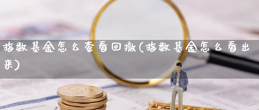 指数基金怎么查看回撤(指数基金怎么看出来)_https://www.yunsqy.com_期货分类_第1张