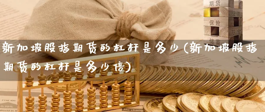 新加坡股指期货的杠杆是多少(新加坡股指期货的杠杆是多少倍)_https://www.yunsqy.com_理财百科_第1张