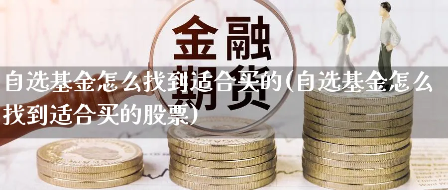 自选基金怎么找到适合买的(自选基金怎么找到适合买的股票)_https://www.yunsqy.com_期货理财_第1张