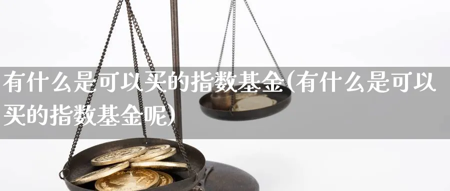 有什么是可以买的指数基金(有什么是可以买的指数基金呢)_https://www.yunsqy.com_期货入门_第1张
