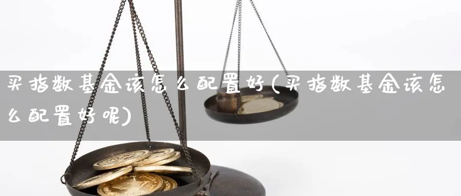买指数基金该怎么配置好(买指数基金该怎么配置好呢)_https://www.yunsqy.com_期货入门_第1张