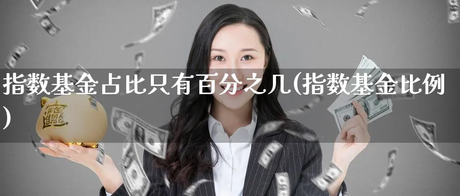 指数基金占比只有百分之几(指数基金比例)_https://www.yunsqy.com_期货技术_第1张