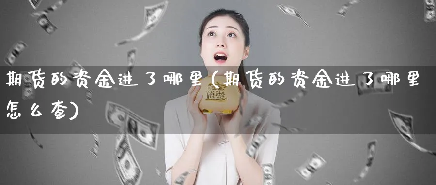 期货的资金进了哪里(期货的资金进了哪里怎么查)_https://www.yunsqy.com_理财百科_第1张