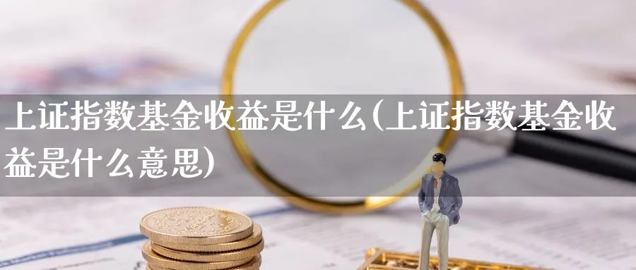 上证指数基金收益是什么(上证指数基金收益是什么意思)_https://www.yunsqy.com_期货理财_第1张