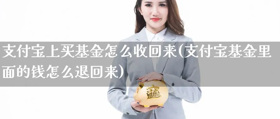 支付宝上买基金怎么收回来(支付宝基金里面的钱怎么退回来)_https://www.yunsqy.com_原油期货_第1张
