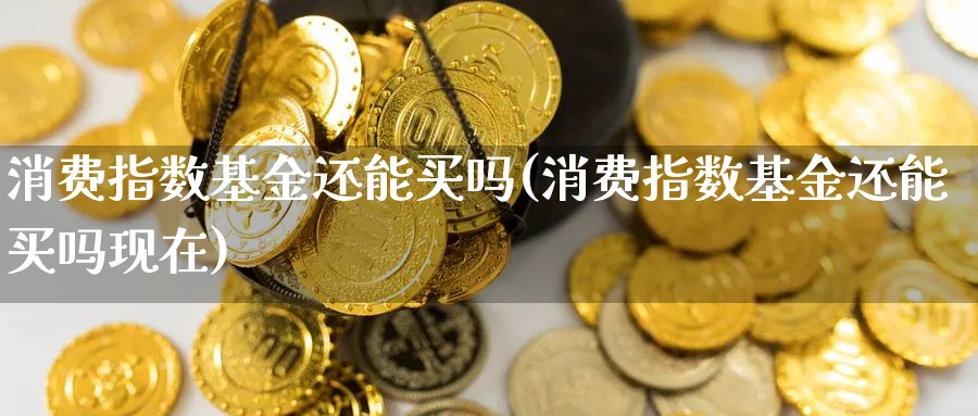 消费指数基金还能买吗(消费指数基金还能买吗现在)_https://www.yunsqy.com_期货整理_第1张