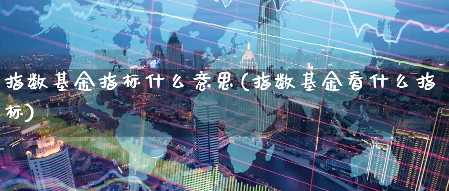 指数基金指标什么意思(指数基金看什么指标)_https://www.yunsqy.com_期货直播_第1张