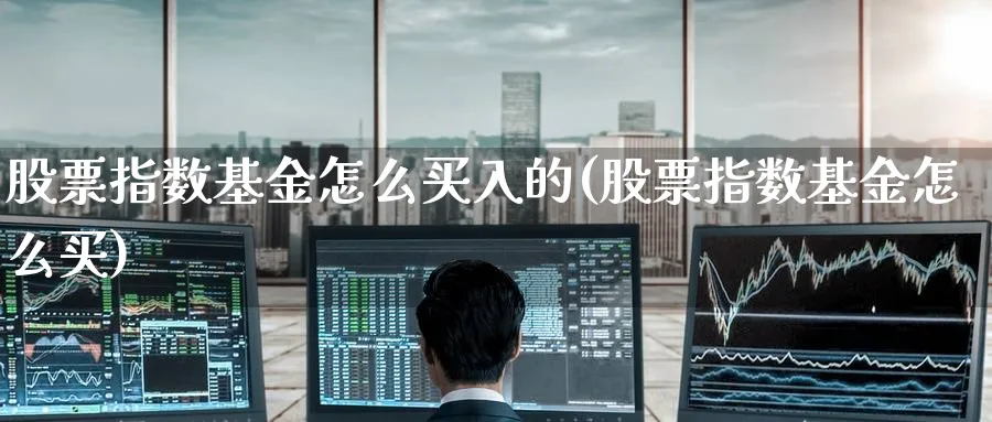 股票指数基金怎么买入的(股票指数基金怎么买)_https://www.yunsqy.com_期货分类_第1张