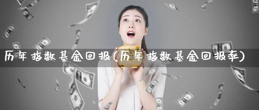 历年指数基金回报(历年指数基金回报率)_https://www.yunsqy.com_理财百科_第1张