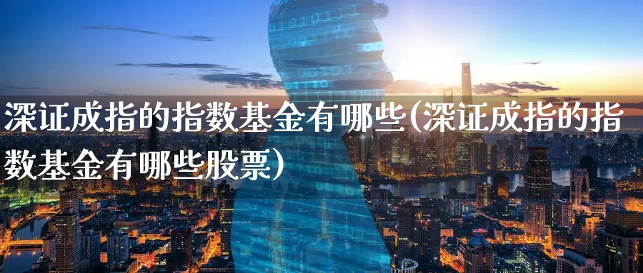 深证成指的指数基金有哪些(深证成指的指数基金有哪些股票)_https://www.yunsqy.com_理财百科_第1张