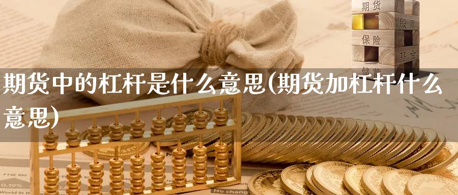 期货中的杠杆是什么意思(期货加杠杆什么意思)_https://www.yunsqy.com_原油期货_第1张