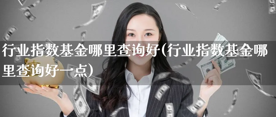行业指数基金哪里查询好(行业指数基金哪里查询好一点)_https://www.yunsqy.com_纳指期货_第1张