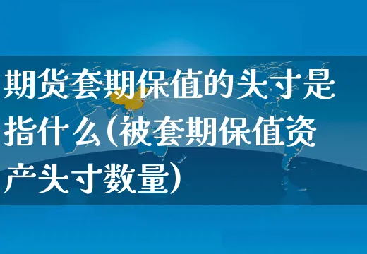 期货套期保值的头寸是指什么(被套期保值资产头寸数量)_https://www.yunsqy.com_期货分类_第1张