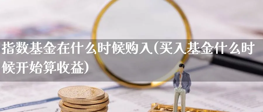 指数基金在什么时候购入(买入基金什么时候开始算收益)_https://www.yunsqy.com_期货直播_第1张