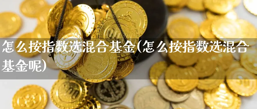 怎么按指数选混合基金(怎么按指数选混合基金呢)_https://www.yunsqy.com_期货整理_第1张
