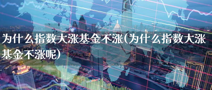 为什么指数大涨基金不涨(为什么指数大涨基金不涨呢)_https://www.yunsqy.com_期货技术_第1张