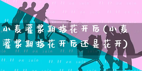 小麦灌浆期指花开后(小麦灌浆期指花开后还是花开)_https://www.yunsqy.com_原油期货_第1张