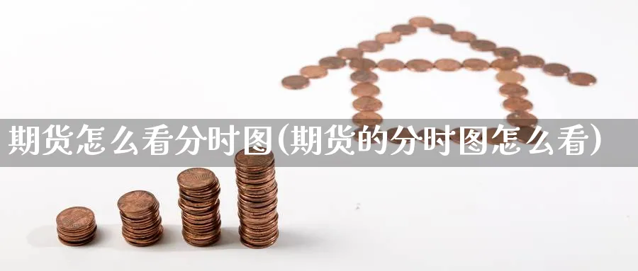 期货怎么看分时图(期货的分时图怎么看)_https://www.yunsqy.com_期货整理_第1张