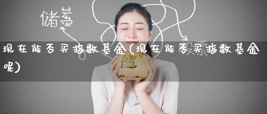 现在能否买指数基金(现在能否买指数基金呢)_https://www.yunsqy.com_期货分类_第1张