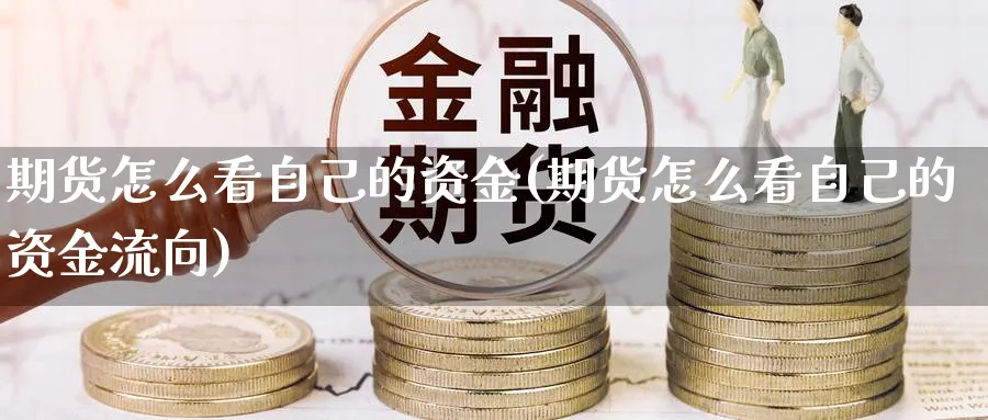 期货怎么看自己的资金(期货怎么看自己的资金流向)_https://www.yunsqy.com_理财百科_第1张