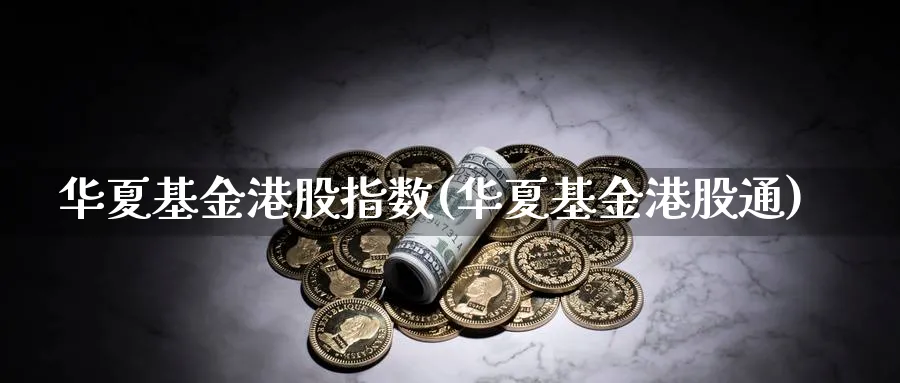 华夏基金港股指数(华夏基金港股通)_https://www.yunsqy.com_期货分类_第1张