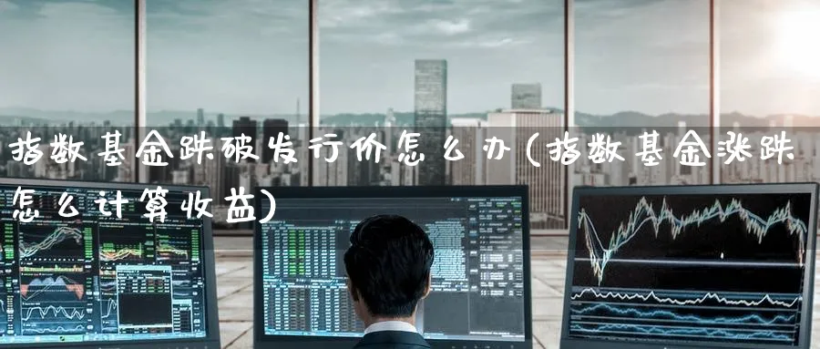 指数基金跌破发行价怎么办(指数基金涨跌怎么计算收益)_期货分类_第1张_云上财经直播室 指数基金跌破发行价怎么办(指数基金涨跌怎么计算收益)_https://www.yunsqy.com_期货分类_第1张