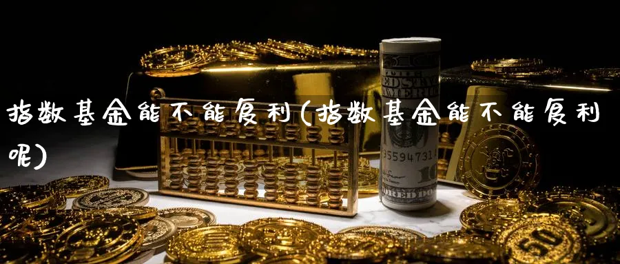 指数基金能不能复利(指数基金能不能复利呢)_https://www.yunsqy.com_期货分类_第1张