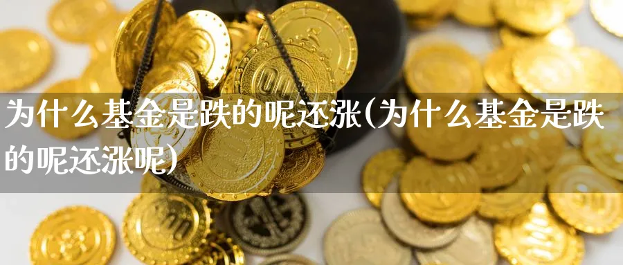 为什么基金是跌的呢还涨(为什么基金是跌的呢还涨呢)_https://www.yunsqy.com_黄金期货_第1张
