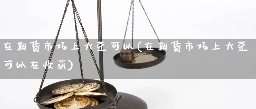 在期货市场上大豆可以(在期货市场上大豆可以在收获)_https://www.yunsqy.com_纳指期货_第1张