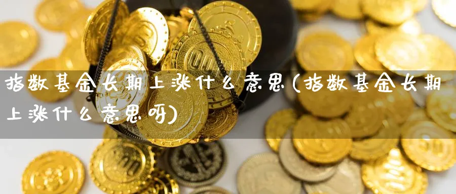 指数基金长期上涨什么意思(指数基金长期上涨什么意思呀)_https://www.yunsqy.com_期货入门_第1张