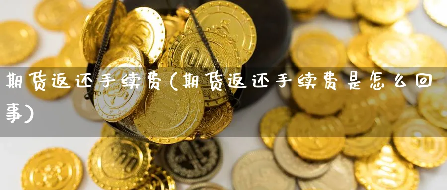期货返还手续费(期货返还手续费是怎么回事)_https://www.yunsqy.com_期货技术_第1张